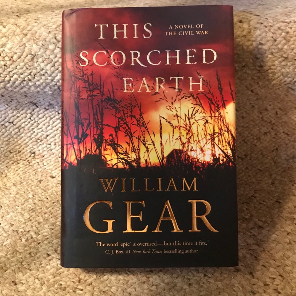 Book: A Civil War Novel;This Scorched Earth